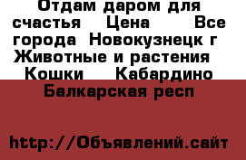 Отдам даром для счастья. › Цена ­ 1 - Все города, Новокузнецк г. Животные и растения » Кошки   . Кабардино-Балкарская респ.